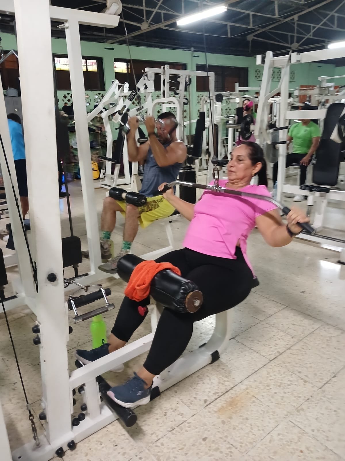 Animal Gym Action
